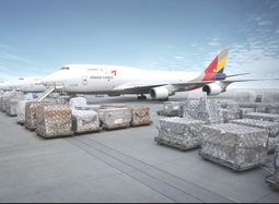 Vận tải biển - hàng không - Thảo Nguyên Logistics - Công Ty TNHH Vận Tải Quốc Tế Thảo Nguyên